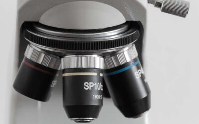 Buying a microscope? Here’s what to know