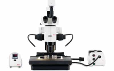 Digital microscopes… with eyepieces?