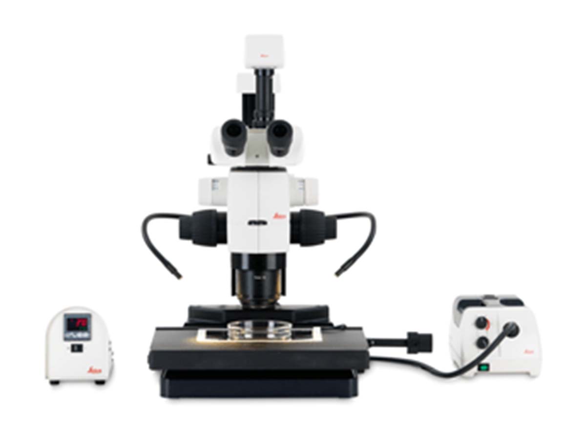 Digital microscopes… with eyepieces?
