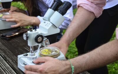 How to clean your microscope during COVID-19