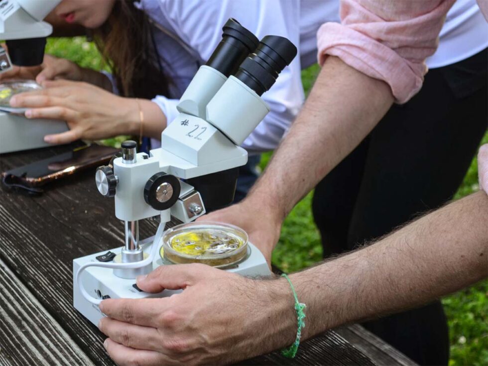 How to clean your microscope during COVID19 Nuhsbaum