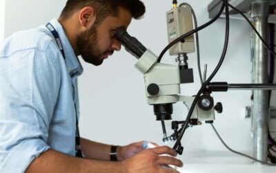 How to maintain a microscope so it will last longer (Part 2)
