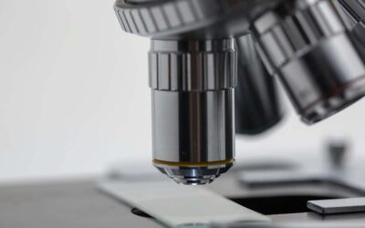 Stereo Microscope vs. Compound: A Beginners Guide