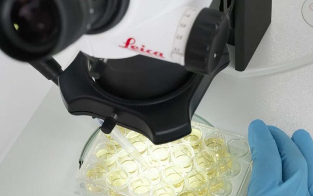 Three great student microscopes