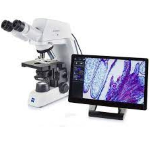 teaching with digital microscopes