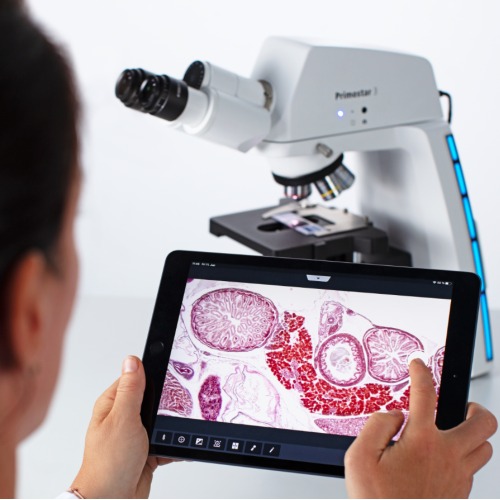 digital microscope for classroom teaching