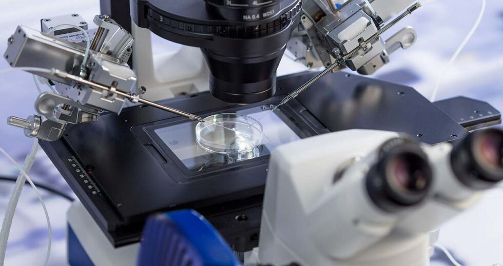 Digital Microscope A Guide to Choosing the Best for Your Needs