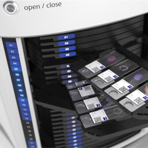 Axioscan slide holder trays