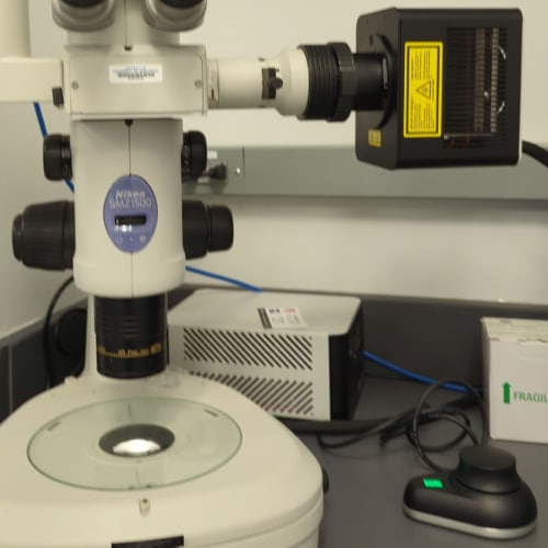 ZEISS Axiovert 5 for Biology