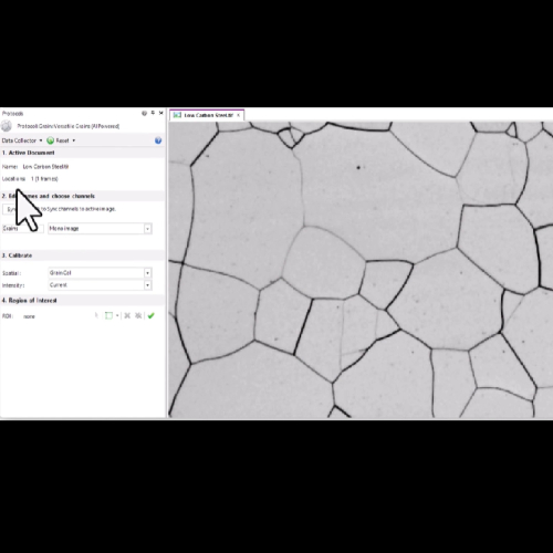 500x500 Image Pro AI for Materials 02 zebrafish larval stage