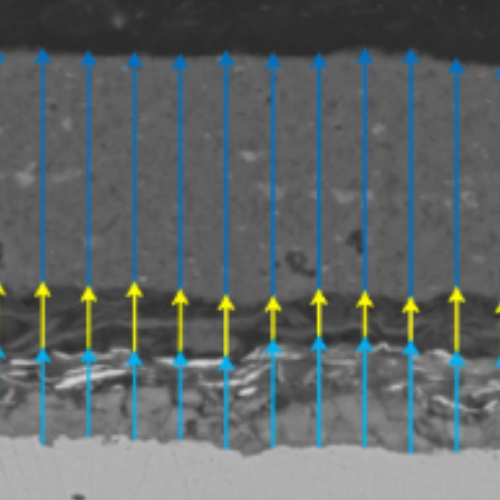 keratinocytes in time series