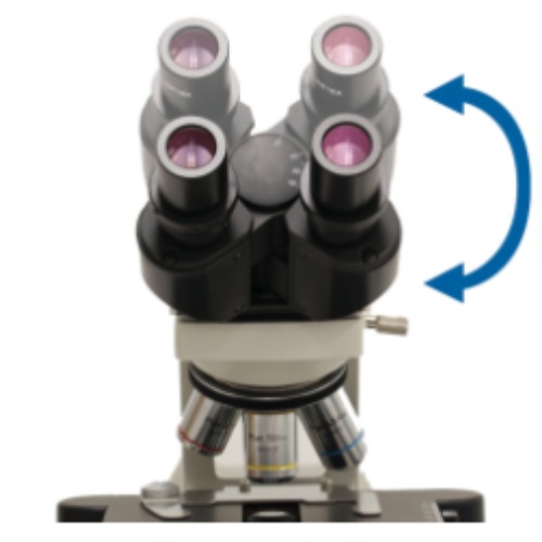 Accu-Scope EXC-120 Eyetube