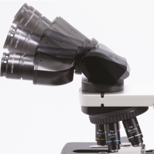 Accu-Scope EXC-500 Ergo Binocular