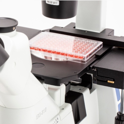 Accu-Scope EXI-310 Side View