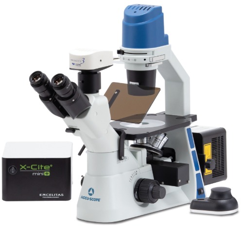 Accu-Scope EXI-310 & X-Cite mini+