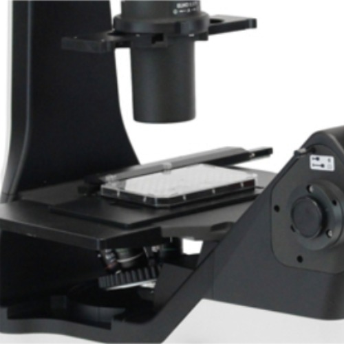 Accu-Scope EXI-310 Side View