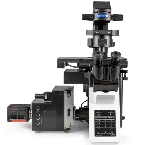 ZEISS Axiovert 5 for Biology