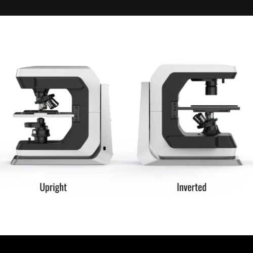 Echo Revolution Upright Inverted